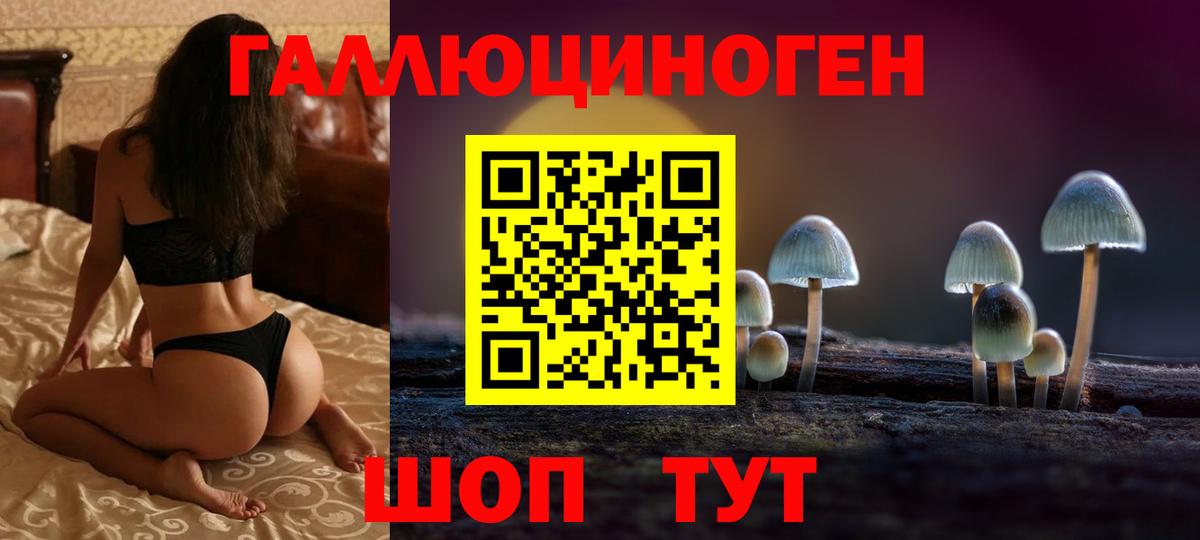 Полевской  Галлюциногенные грибы Psilocybe  Псилоцибиновые грибы прущие грибы  Вход с VPN 